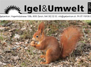 Titelbild Septemberzeitung 2017